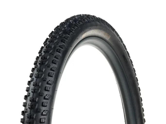 لاستیک کوهستان Bontrager Montrose Comp XR